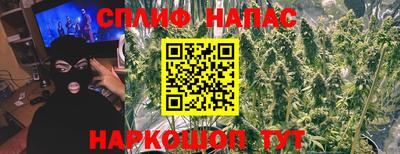 ешки Владимир