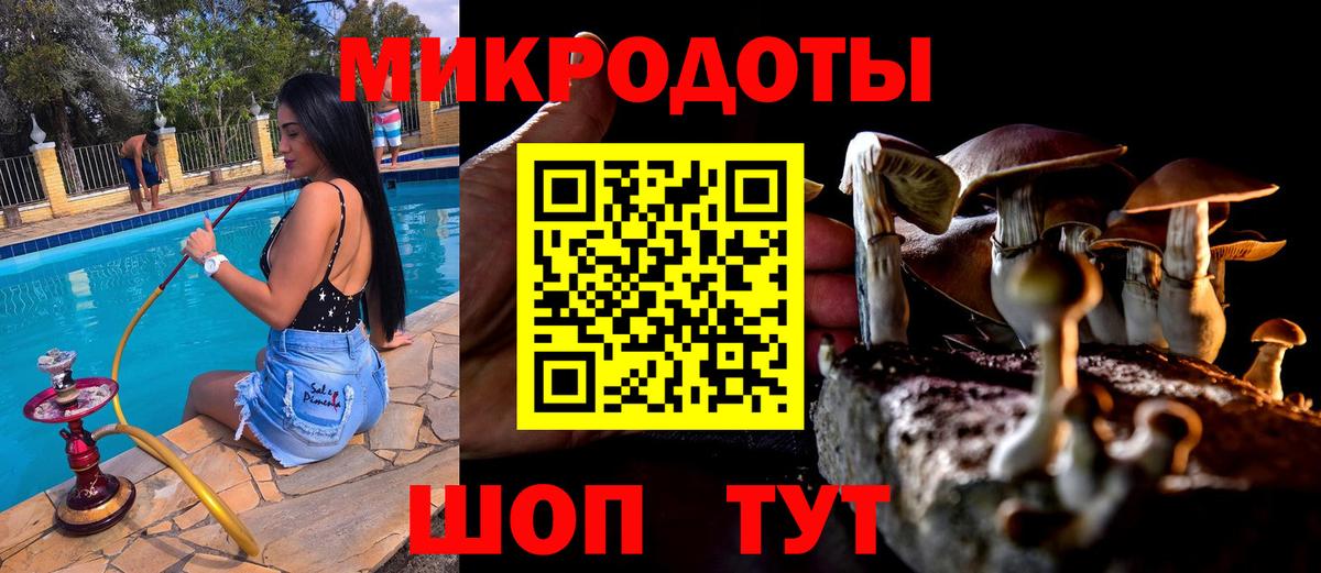 Псилоцибиновые грибы мухоморы Воронеж